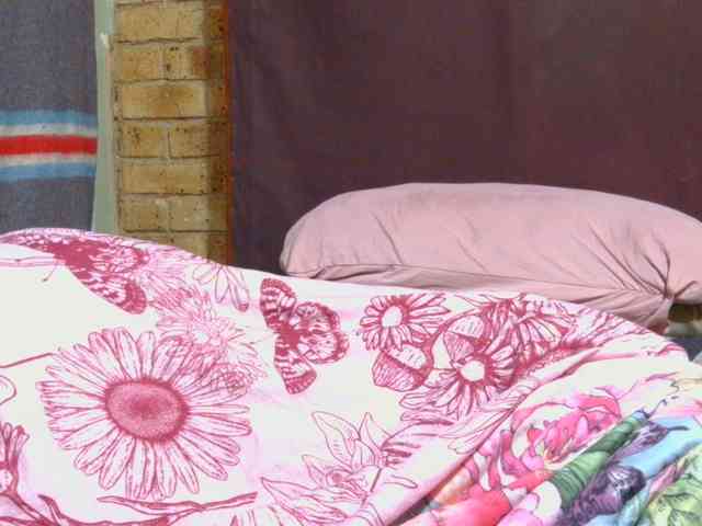 AngelBlackChoco webcam