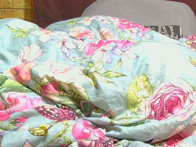 AngelBlackChoco webcam