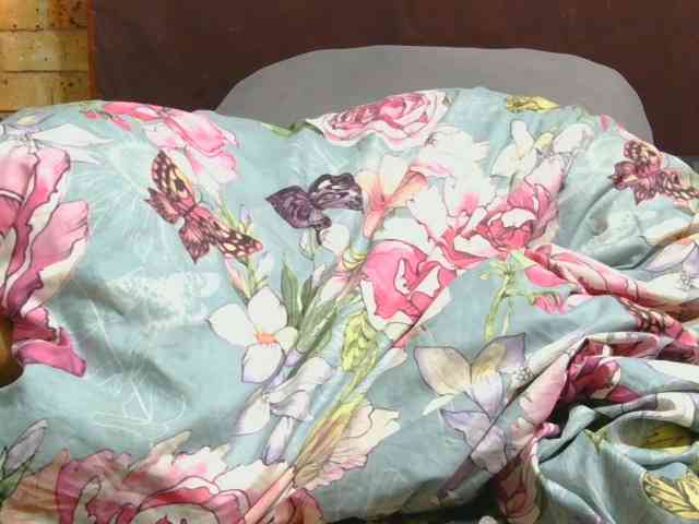 AngelBlackChoco webcam