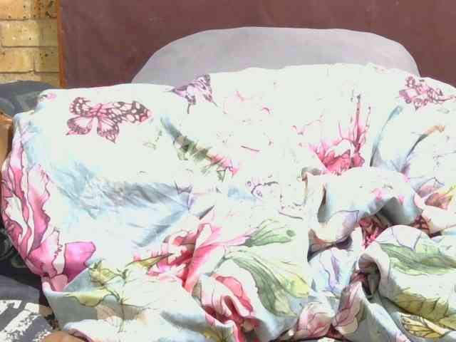 AngelBlackChoco webcam