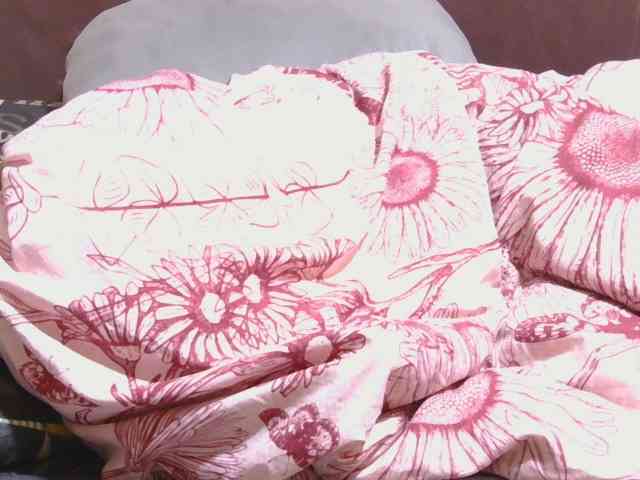 AngelBlackChoco webcam