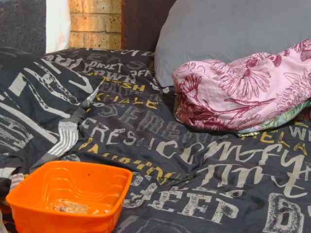 AngelBlackChoco webcam