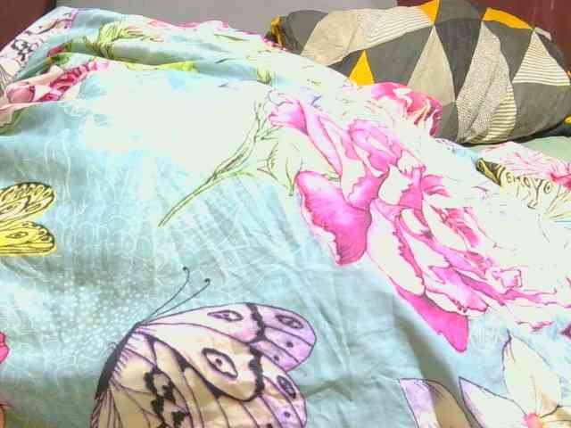 AngelBlackChoco webcam