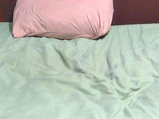 AngelBlackChoco webcam