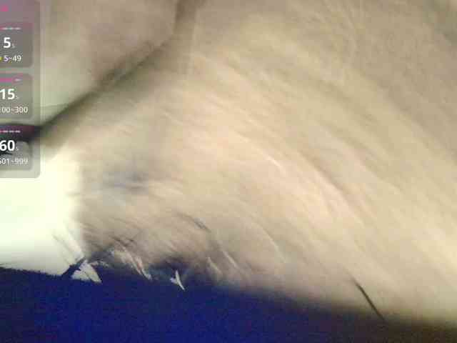 DaisyAbby03 webcam