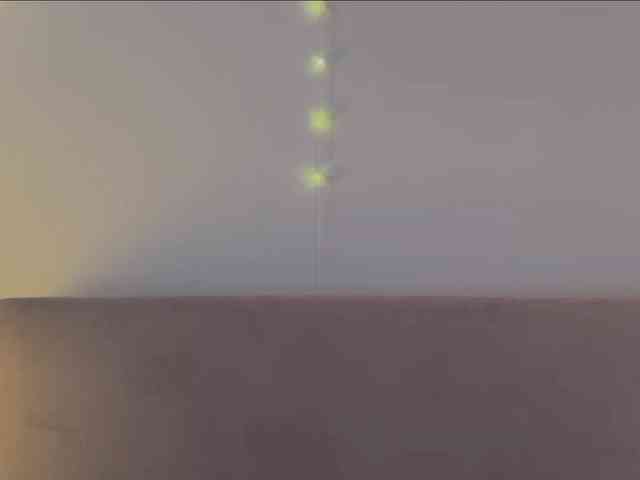KiraLeo webcam