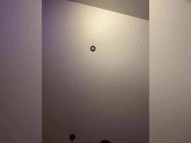KiraLeo webcam