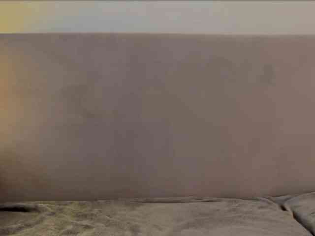 KiraLeo webcam