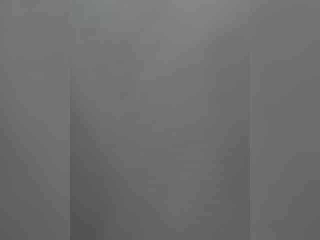 KiraLeo webcam