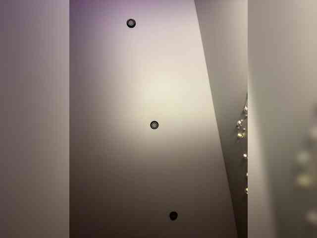 KiraLeo webcam