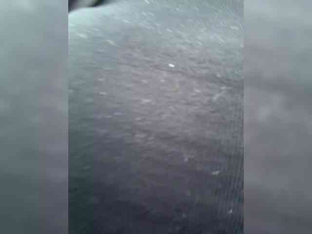 KiraLeo webcam