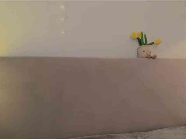 KiraLeo webcam