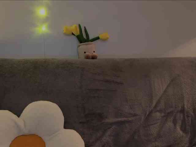 KiraLeo webcam
