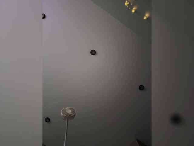 KiraLeo webcam