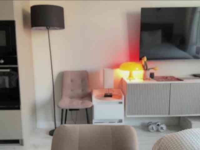 KiraLeo webcam