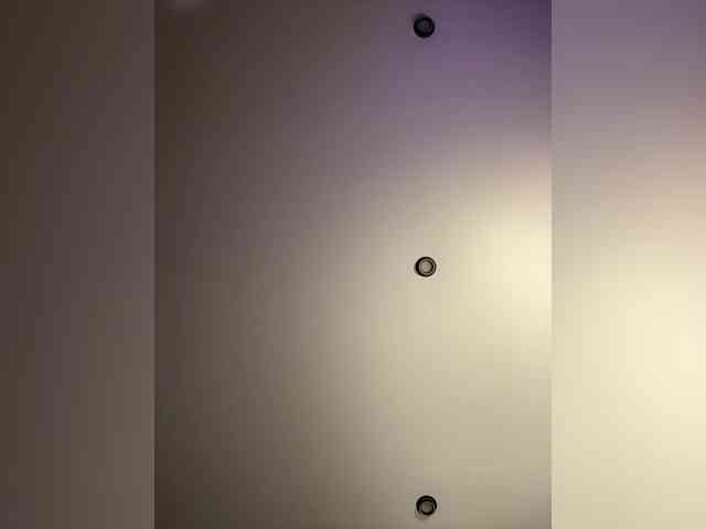KiraLeo webcam