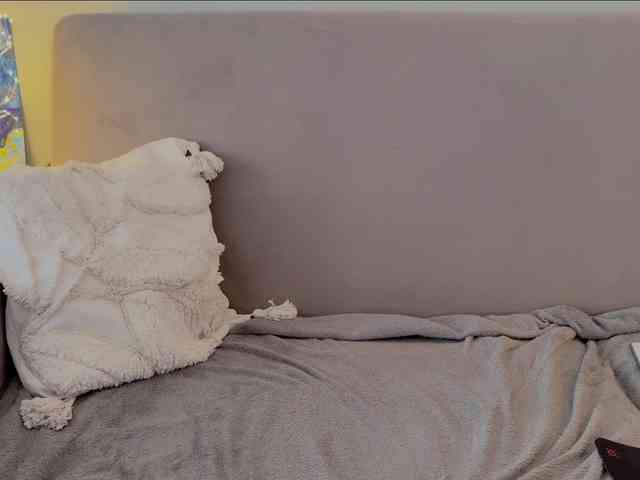 KiraLeo webcam