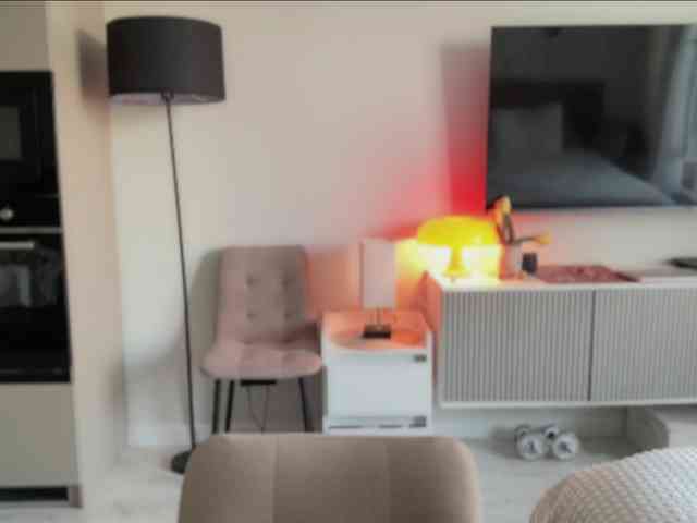 KiraLeo webcam