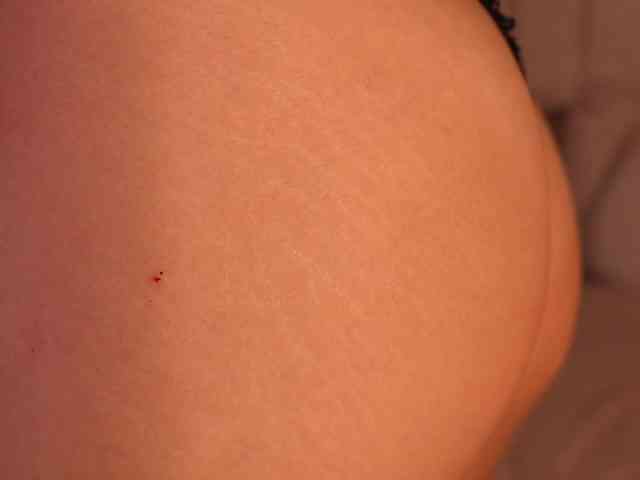 lyrabellini webcam