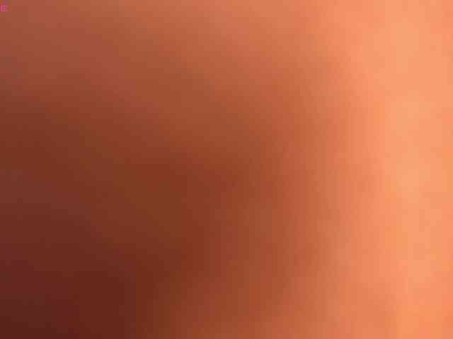 lyrabellini webcam