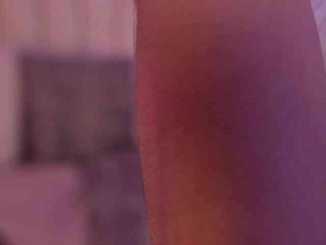 lyrabellini webcam