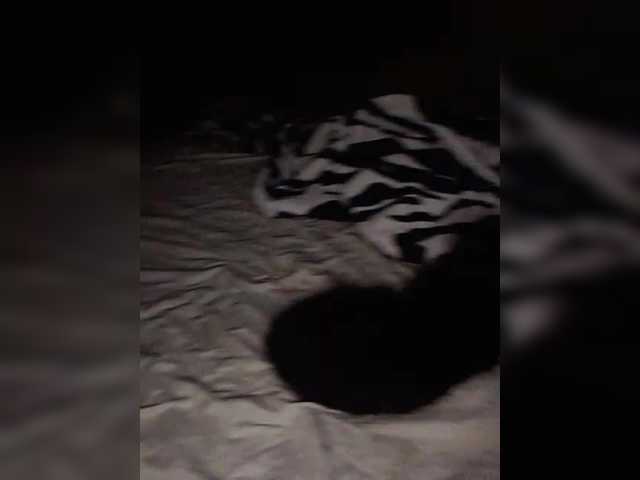 Avrori