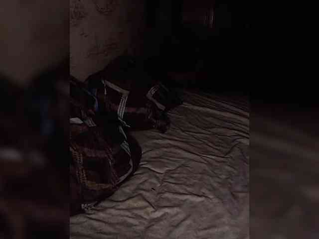 Avrori webcam