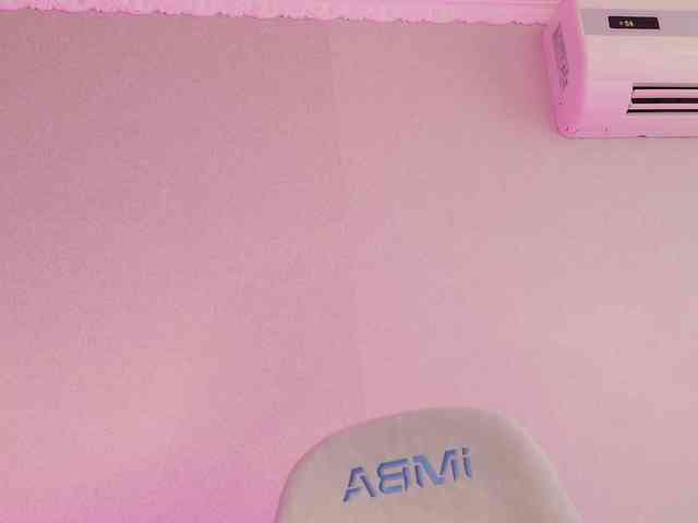NightMint webcam