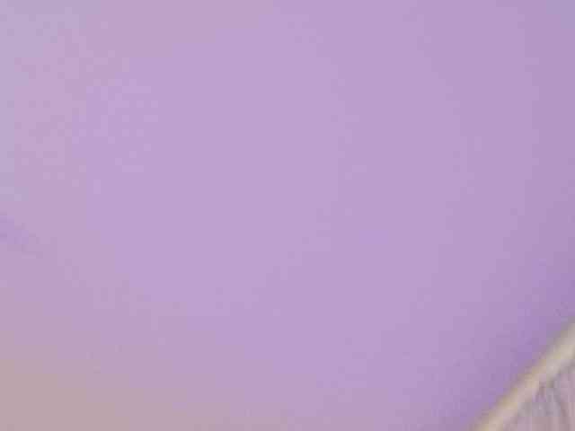 NightMint webcam