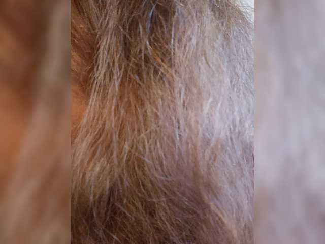 DianeHansen10