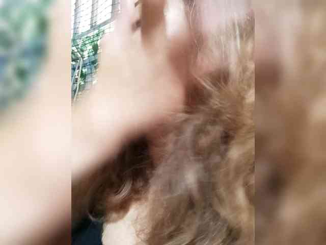 DianeHansen10 webcam