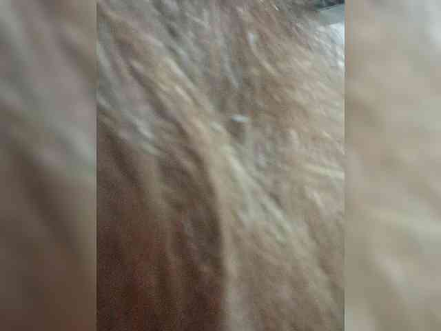 DianeHansen10 webcam