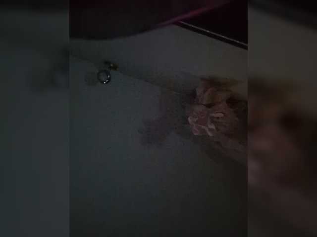 IvaAngel live cam