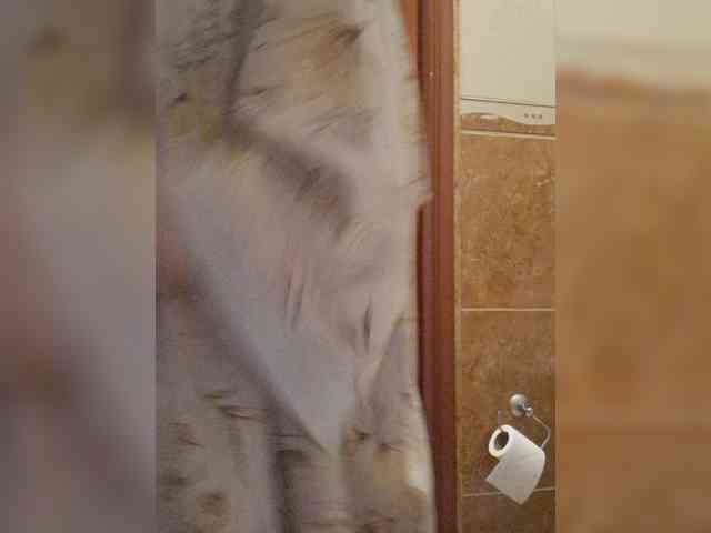 IvaAngel webcam