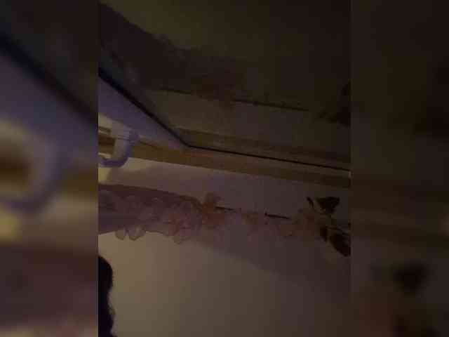 IvaAngel webcam