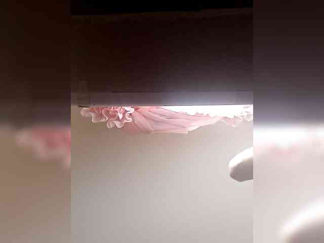 IvaAngel webcam
