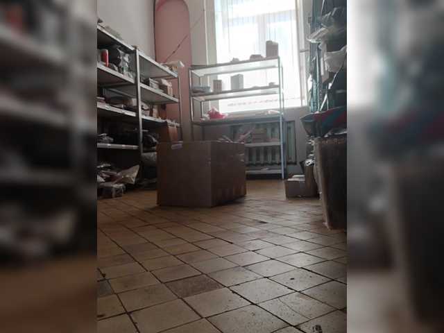 DarinaX