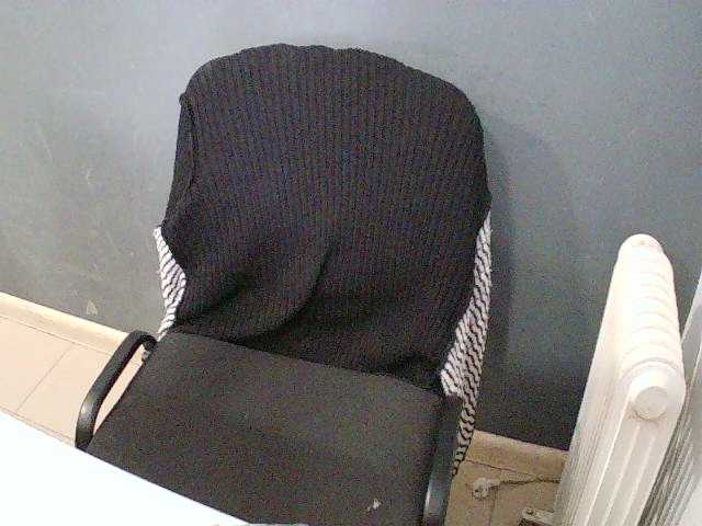 DarinaX webcam