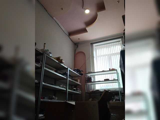 darinac online