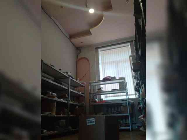 DarinaX webcam