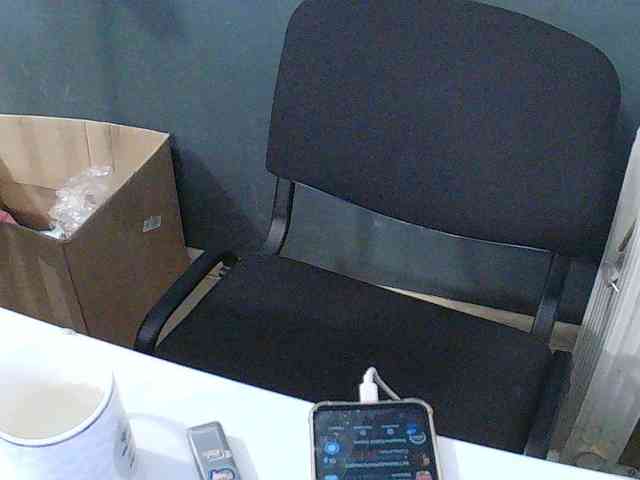 DarinaX webcam
