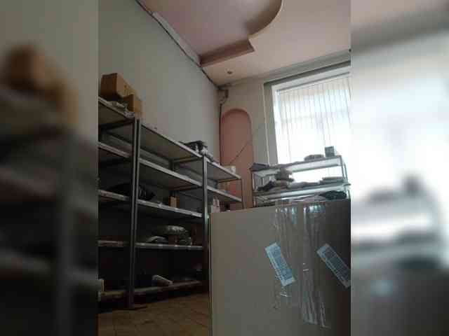 DarinaX webcam