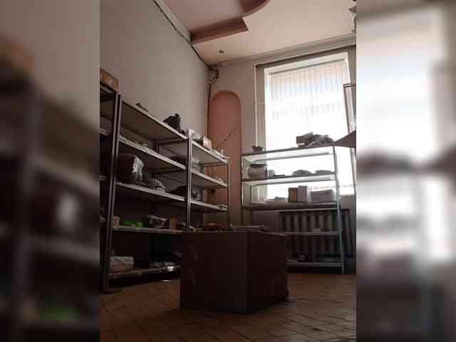 DarinaX webcam
