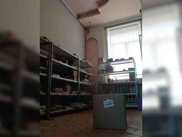 DarinaX webcam