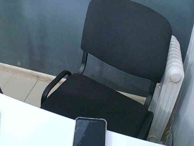 DarinaX webcam