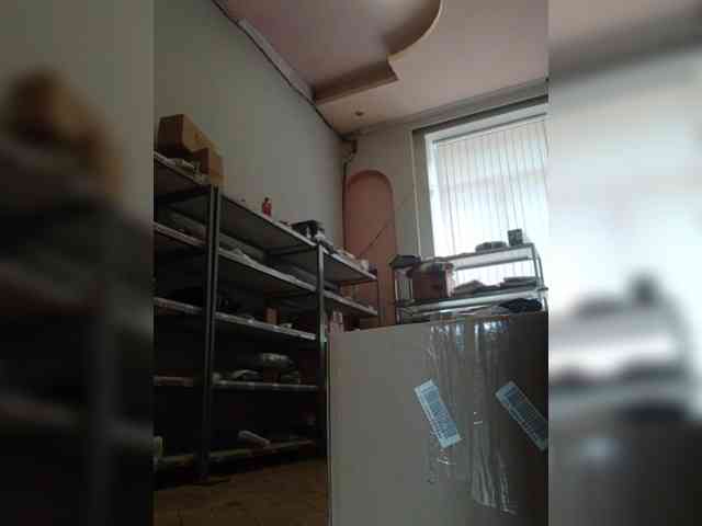 DarinaX webcam