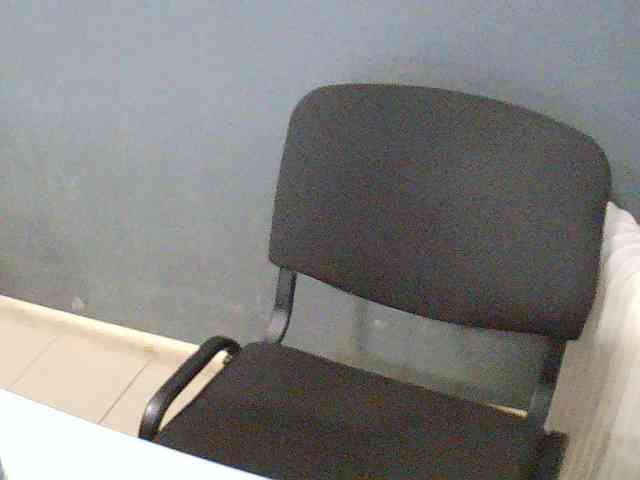 DarinaX webcam