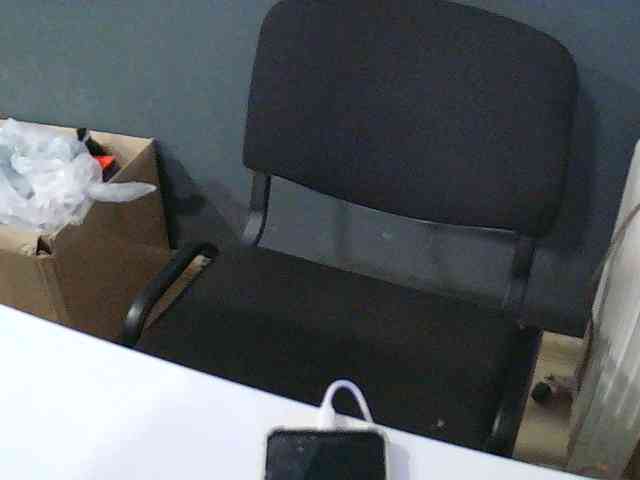 DarinaX webcam