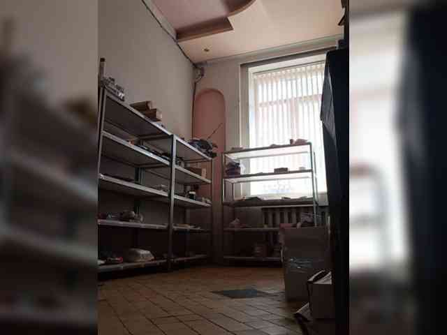 DarinaX webcam
