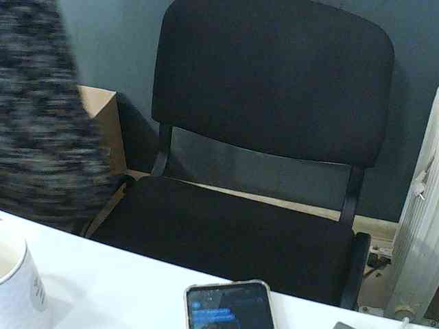 DarinaX webcam